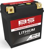BS Lithium LiFePO4 Batteries