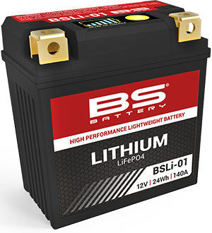 BS Lithium LiFePO4 Batteries