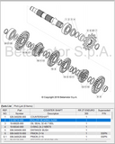 Roller Bearing NJ205