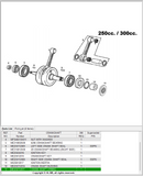 GasGas OEM -  O Ring *SALE*
