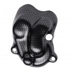 Trials Engine & Exhaust Protection