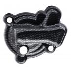 Trials Engine & Exhaust Protection