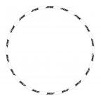 Kit Rim decals (Clearance)